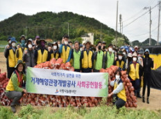 송진포 농가 양파수확 일손돕기