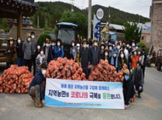 송진포마을 양파수확 농촌 일손돕기