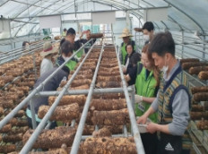 거제해양관광개발공사 청소년사업팀, 장애인과 함께하는 사회 공헌 활동