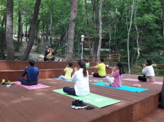 거제자연휴양림 산림치유. 숲체험 프로그램 무료 제공