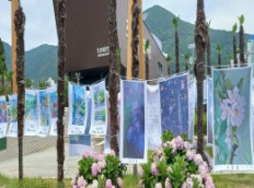 조선해양문화관, ‘시와 그림과 수국이 있는 바닷가’ 전시